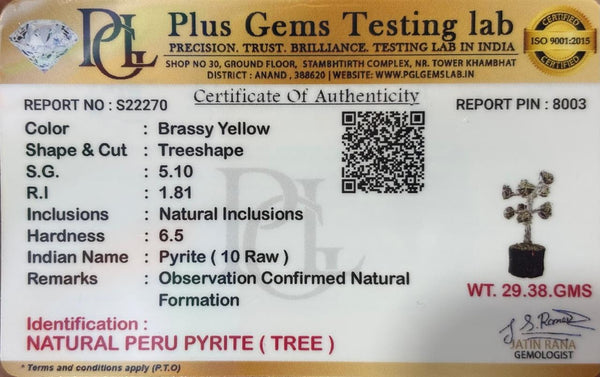 Pyrite – Raw Wealth Tree