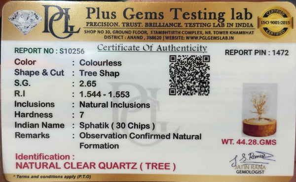 clear quartz Tree small(Clear Quartz – Crystal Glow Dome)