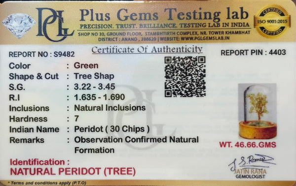 Peridot Tree small ( Peridot – Renewal Glow Dome)