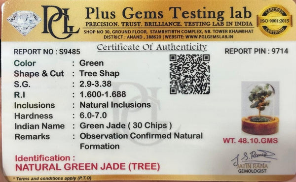 Green AvanturineTree small (Green Aventurine – Abundance Glow Dome