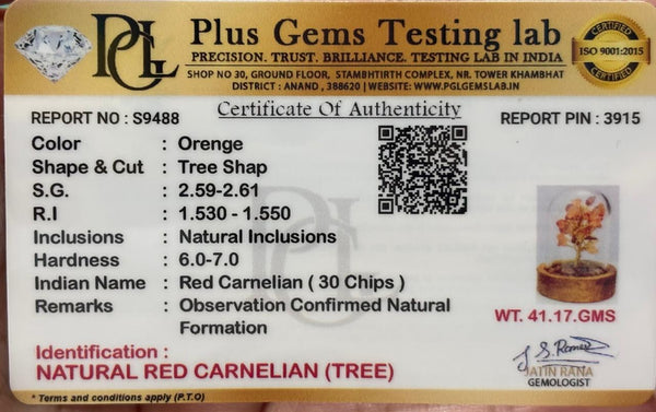 Carneline Tree small(Carnelian – Confidence Dome)